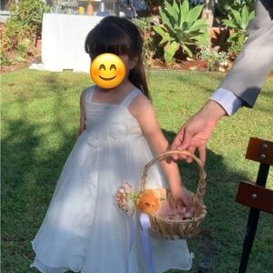 David's bridal Toddler girls flower girl dress